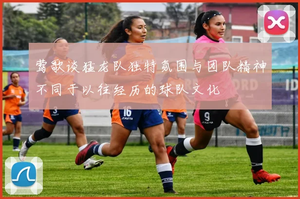 莺歌谈猛龙队独特氛围与团队精神不同于以往经历的球队文化