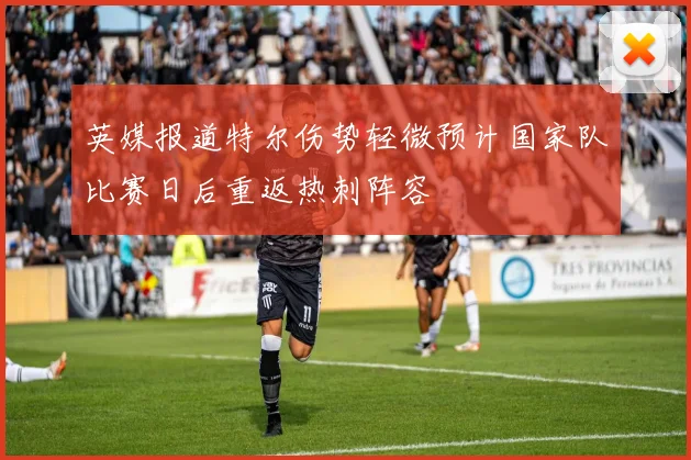 英媒报道特尔伤势轻微预计国家队比赛日后重返热刺阵容