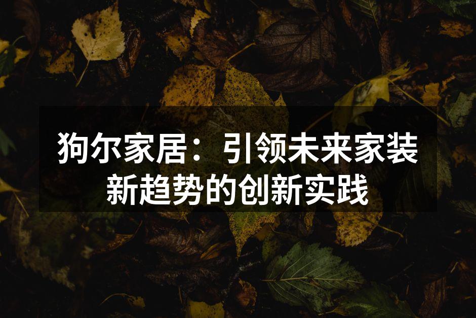 狗尔家居展厅一角，展示最新环保材料